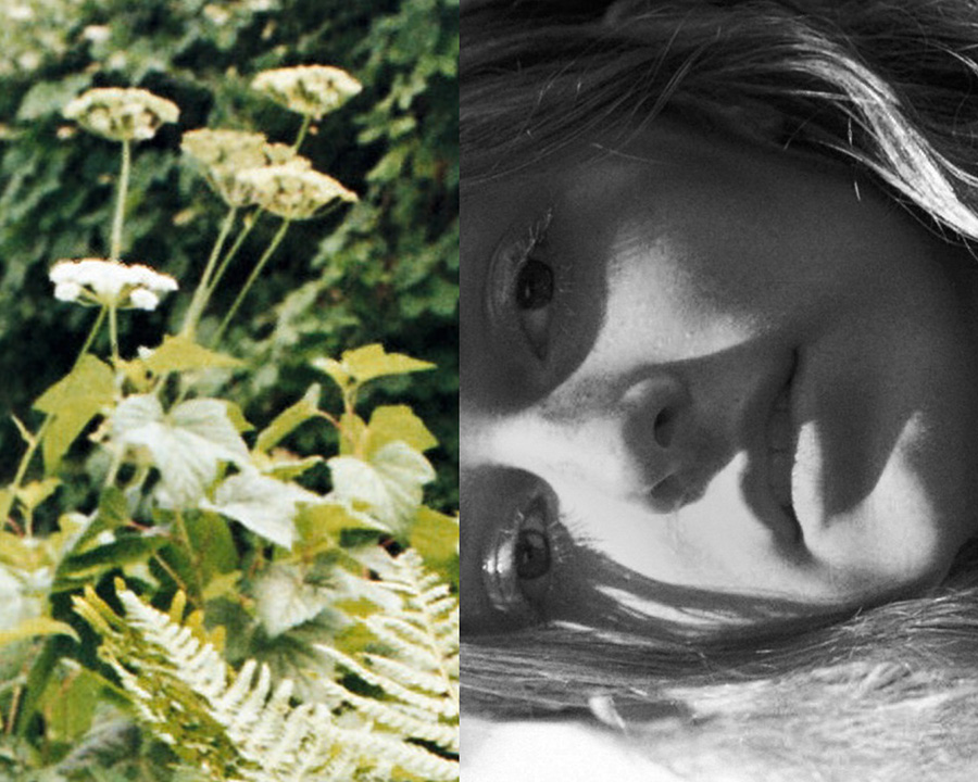 analog photography angela blumen