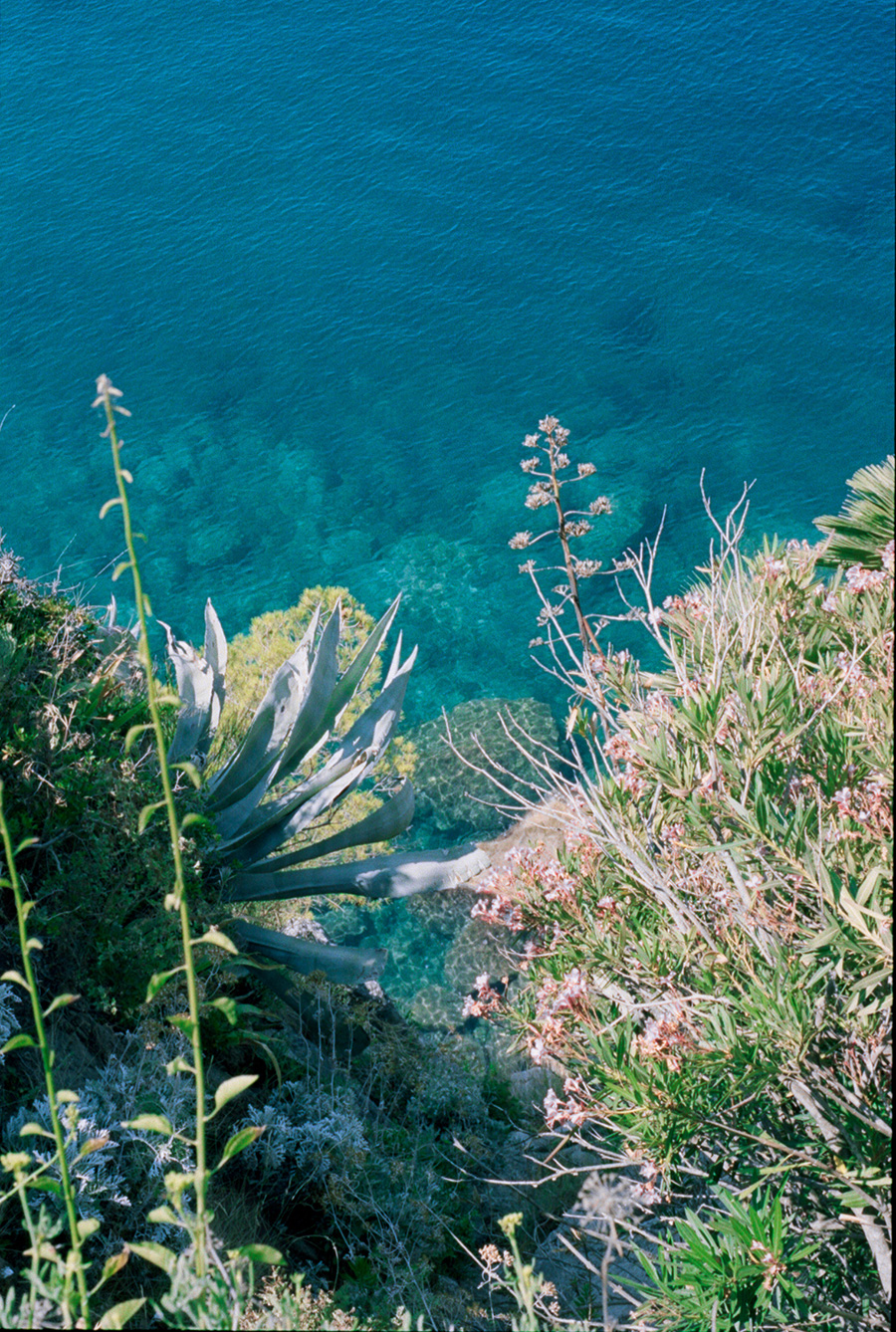 analog photography croatia